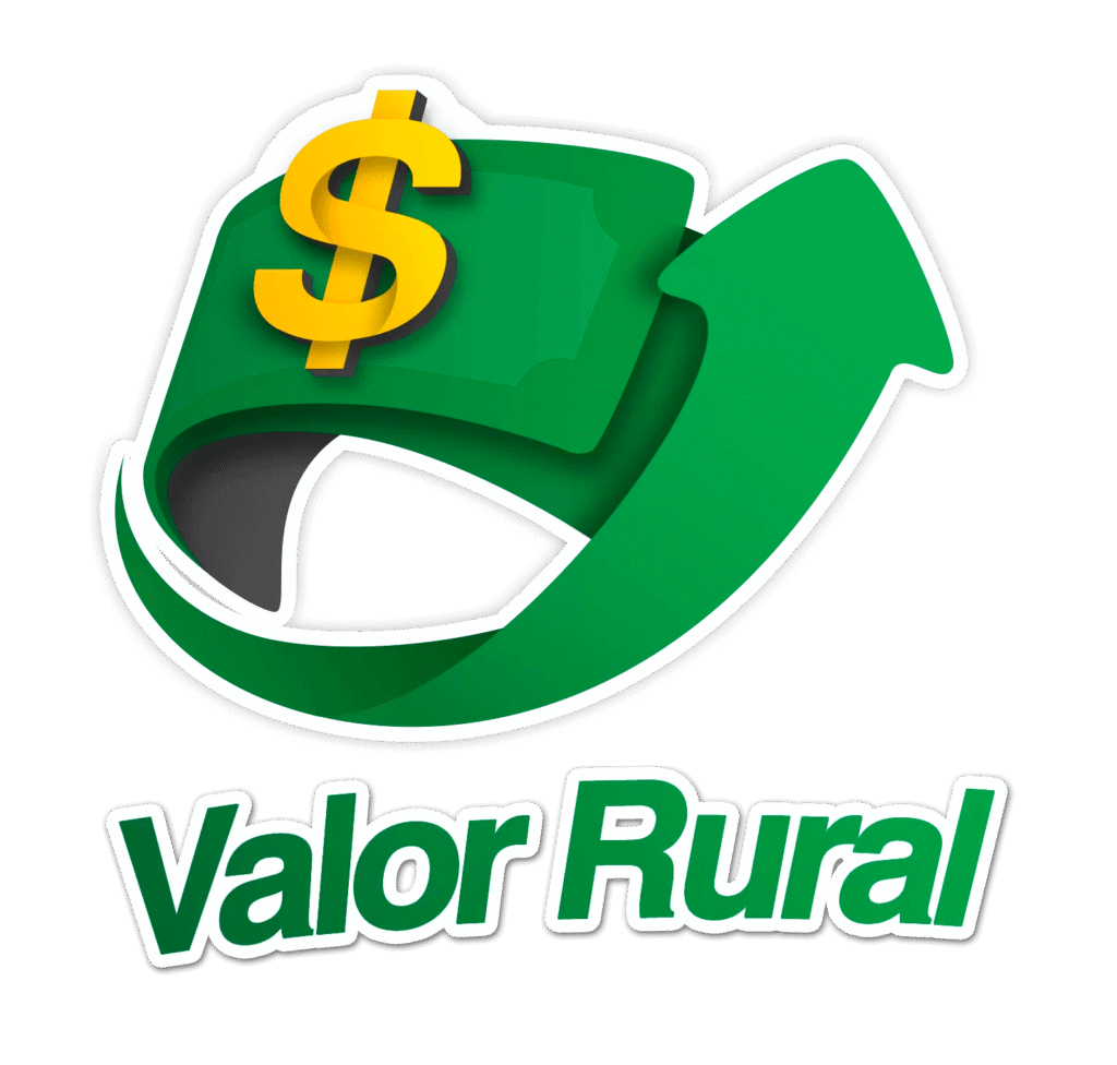 Valor Rural - Logo Borda